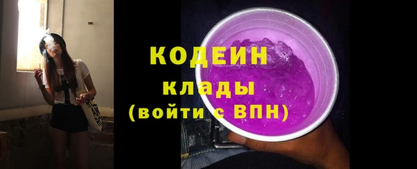 шишки Алзамай