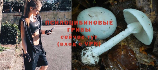 а пвп мука Армянск
