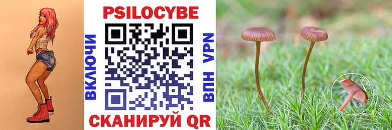магазин продажи   blacksprut зеркало  Галлюциногенные грибы Magic Shrooms  Геленджик 
