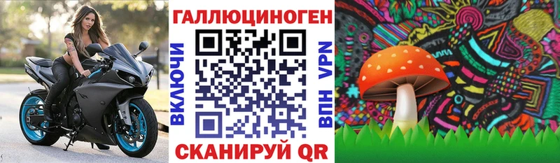 Галлюциногенные грибы мицелий Геленджик